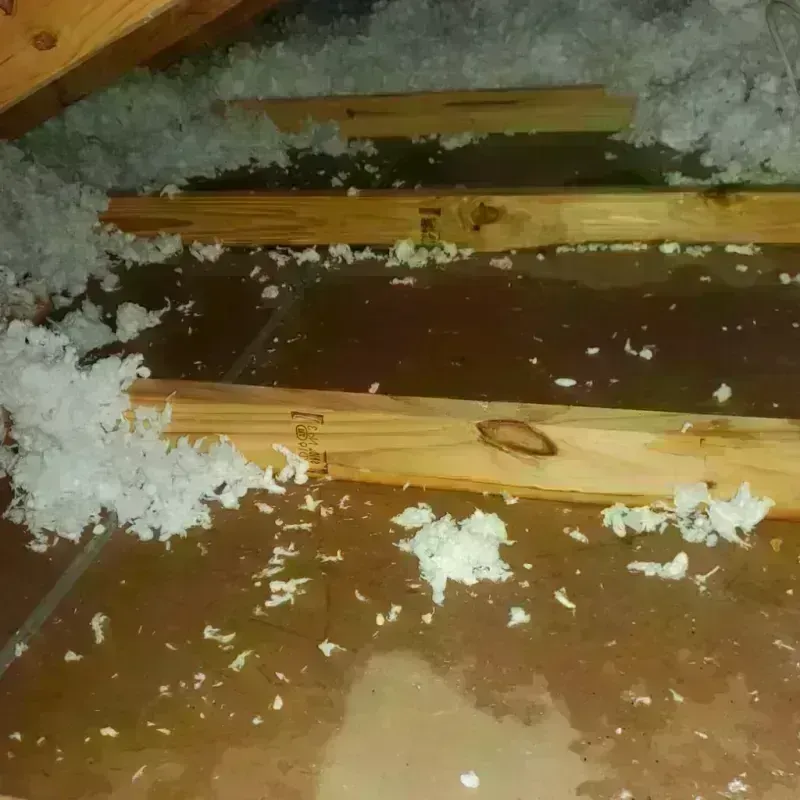 Attic Water Damage in Walden, NY